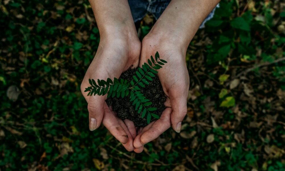 British Columbia spends $9.2 million on climate, nutrition, health and other projects