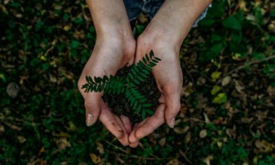 British Columbia spends $9.2 million on climate, nutrition, health and other projects